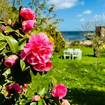 Idyllic Summerhouse On The Cliff With Sea View 펜션 스바네케